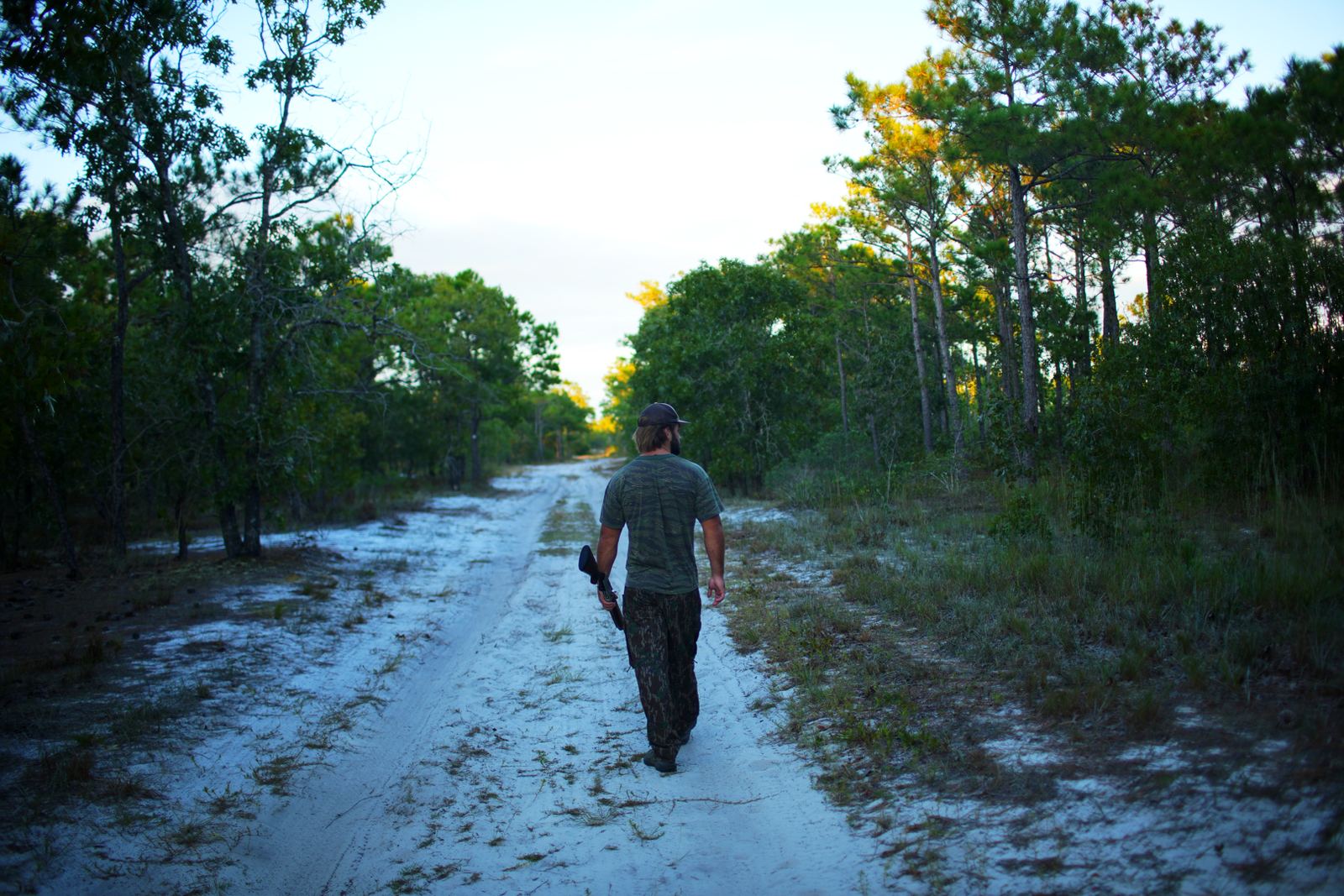 Turner walking away down a white sand road between pines